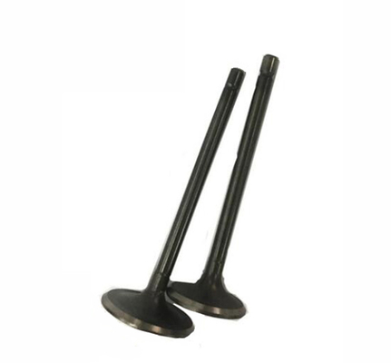 Stainless Steel CG250 Motorcycle Intake And Exhaust Valve