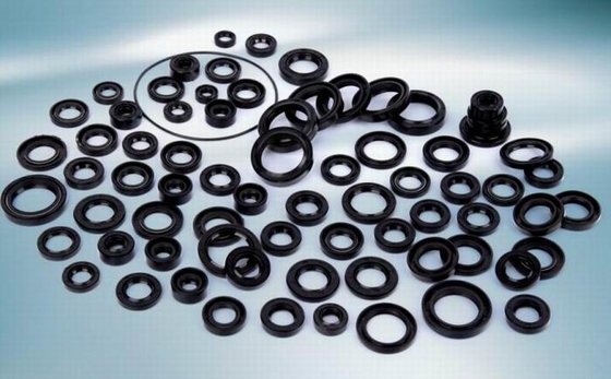 Rubber O Ring Auto Spare Parts Oil Seal / Fuel Seal Heat Resistance Custom Size