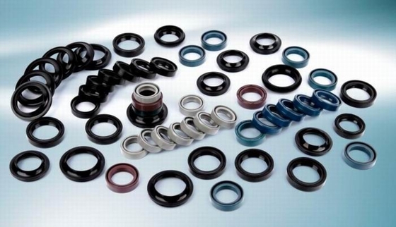Rubber O Ring Auto Spare Parts Oil Seal / Fuel Seal Heat Resistance Custom Size